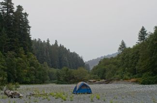 Dispersed Camping on the Redwood Creek in the Redwood National Park